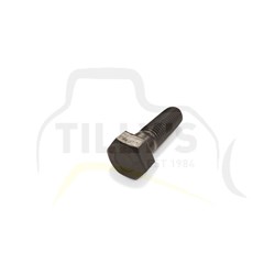 BOLT - IDLER D85-18