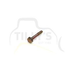 BOLT - M10 X 60MM