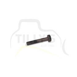BOLT - M10 x 55MM