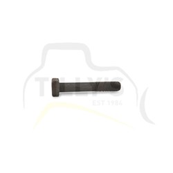 BOLT - HEX M12 X 70mm