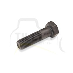 BOLT - CANOPY ROPS D85-21