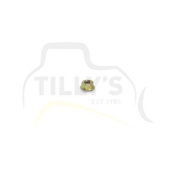 NUT - S6D95L M8 x 6.5mm Nut