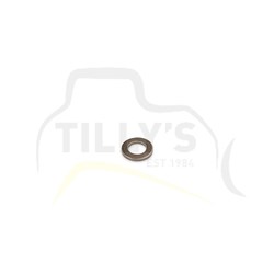 WASHER - SPRING
