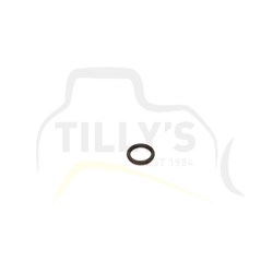 SEAL - O RING