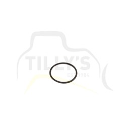 SEAL - O RING