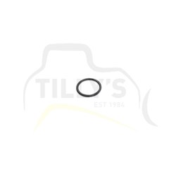 SEAL - O RING