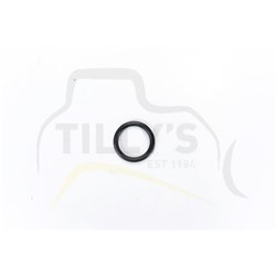 SEAL - O RING