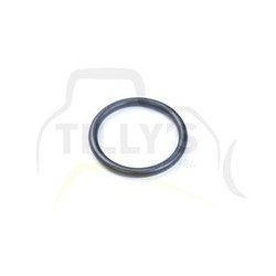 SEAL - O RING