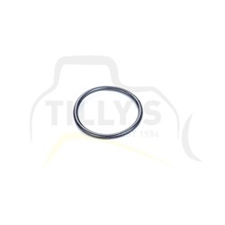SEAL - O RING