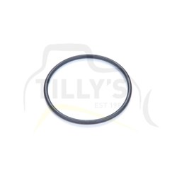 SEAL - O RING