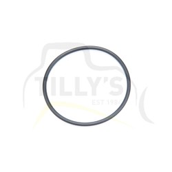 SEAL - O RING