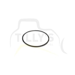 SEAL - O RING