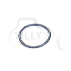 SEAL - O RING