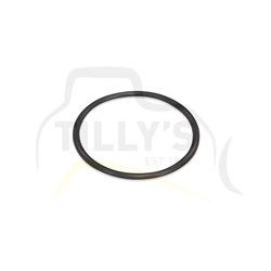 SEAL - O RING