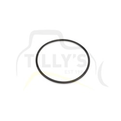 SEAL - O RING