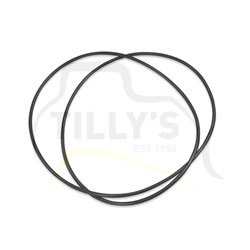 SEAL - O RING