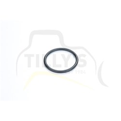 SEAL - O RING