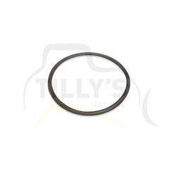 SEAL - O RING
