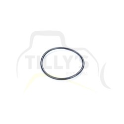 SEAL - O RING