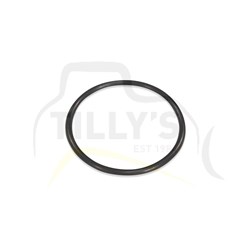 SEAL - O RING NITRILE FR-1B