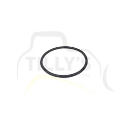 SEAL - O RING