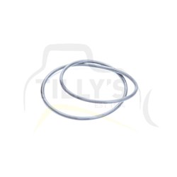 SEAL - O RING