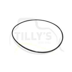 SEAL - O RING