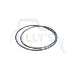 SEAL - O RING