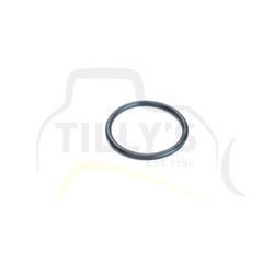 SEAL - O RING