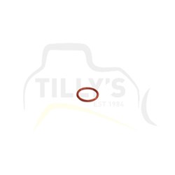 SEAL - O RING