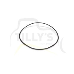 SEAL - O RING FILTER T/CONV