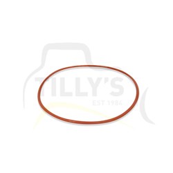 SEAL - O RING FILTER T/CONV
