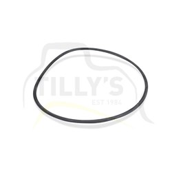 SEAL - O RING HYD PUMP MNT