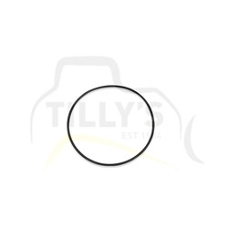 SEAL - O RING