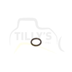 SEAL - O RING TRANS