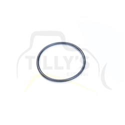 SEAL - O RING