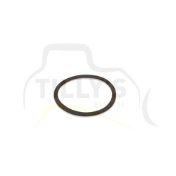 SEAL - O RING TRANS D85-21