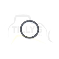 SEAL - O RING