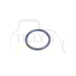 SEAL - O RING
