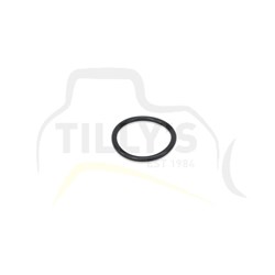 SEAL - O RING SENSOR RAD