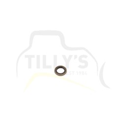WASHER - SEAL