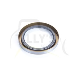 SEAL - OIL  D85A-12C