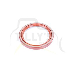 PLUG - MAGNETIC F/DR PC200-6
