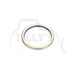 SEAL - DUST D65A-6