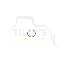 SEAL - O RING