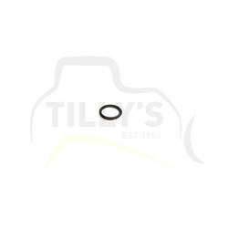 SEAL -  O RING HYD