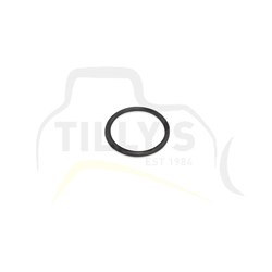 ORING - OIL PICK UP TUBE 3046