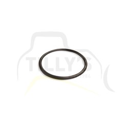 SEAL - O RING