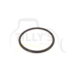 SEAL - O RING