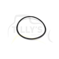 SEAL - O RING